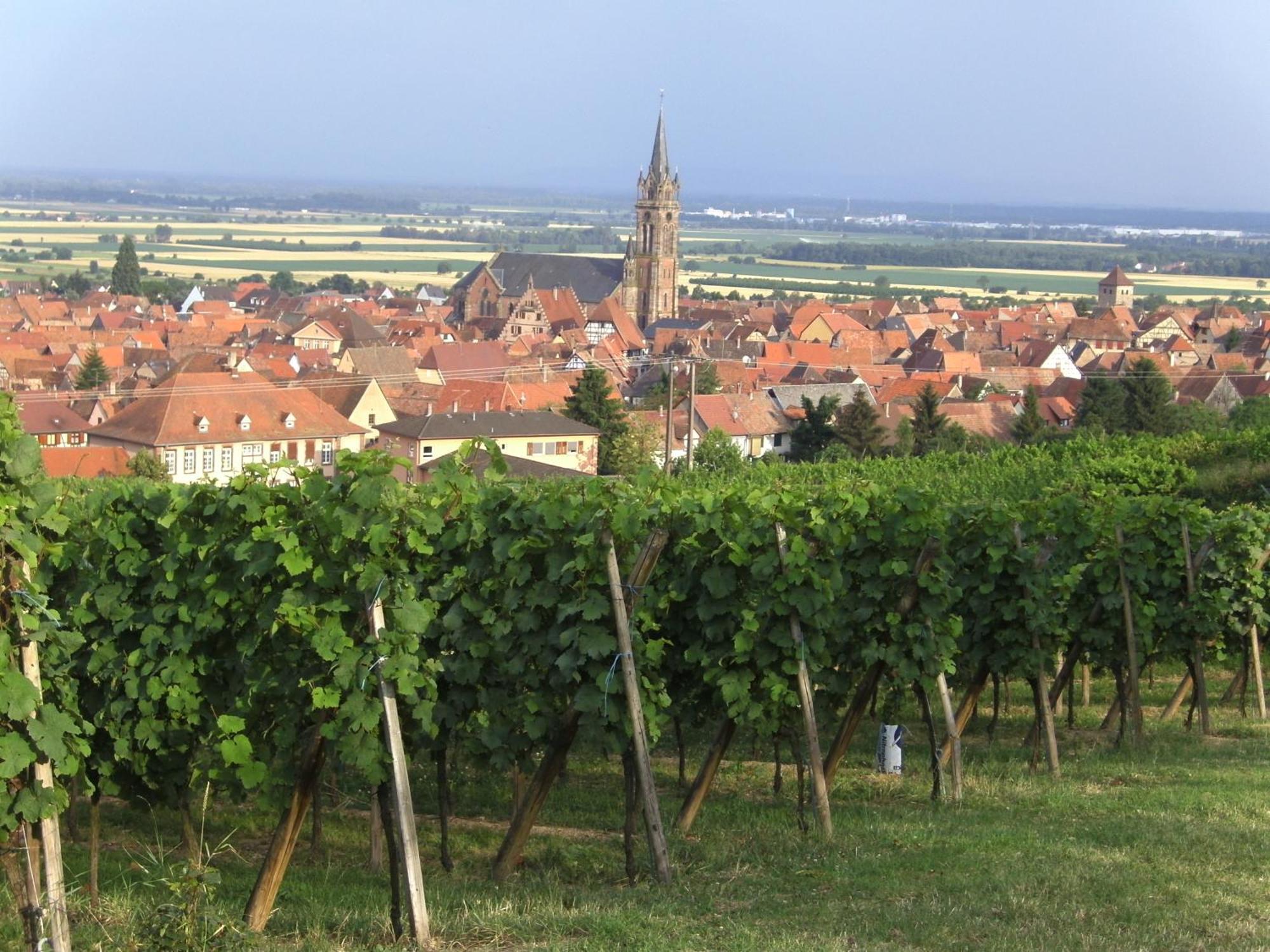 Chambres D'Hotes Arnold Dambach Exterior foto